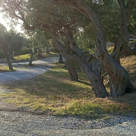 Villa Colori di Sicilia Rodia Esterno foto