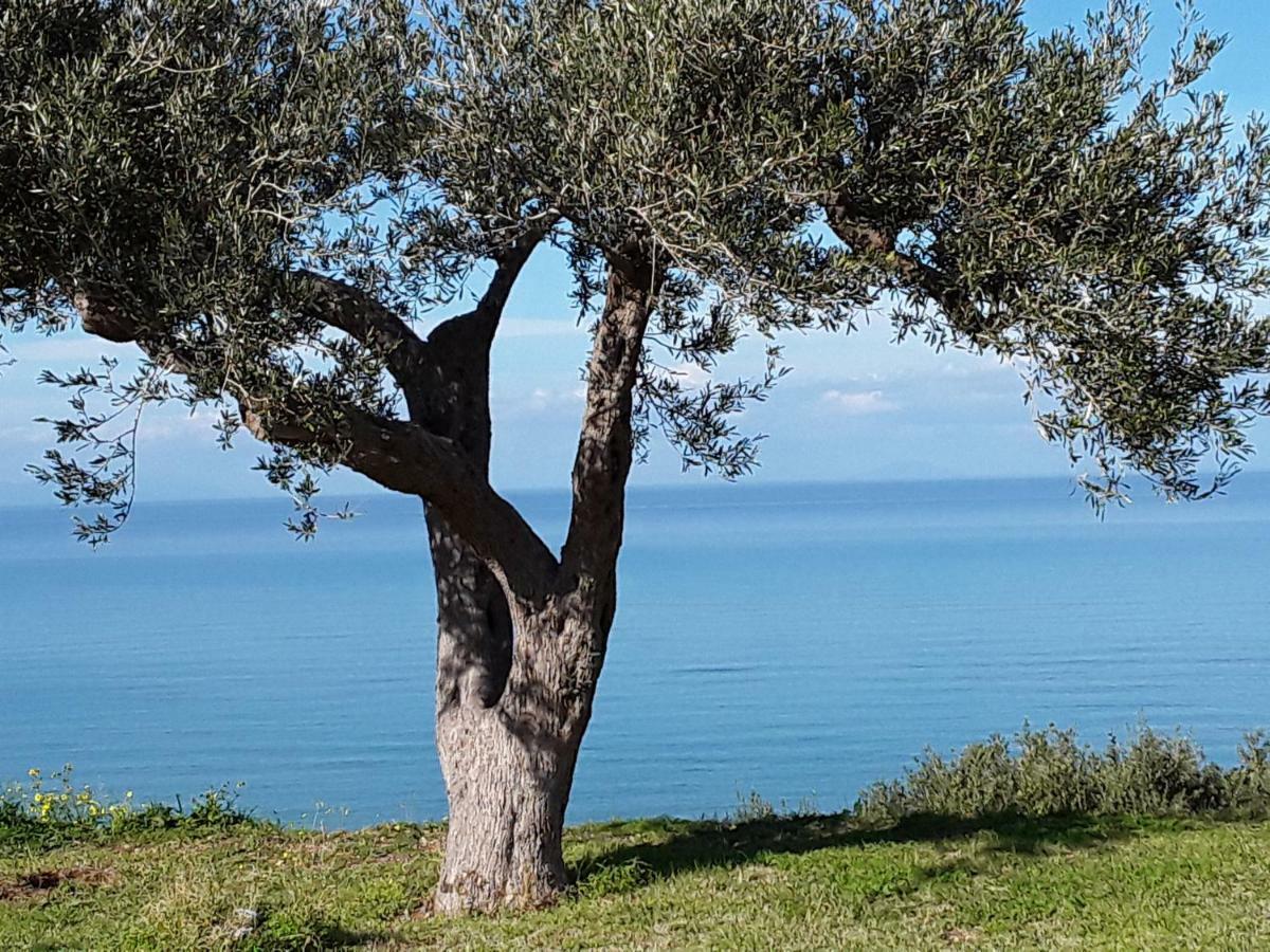 Villa Colori di Sicilia Rodia Esterno foto